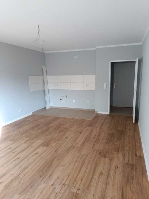 Sanierte Wohnung mit einem Zimmer und Balkon