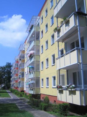 Schöne Wohnung in der Oststadt, 2016 komplette Sanierung Bad & Heizung
