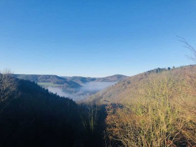 NIDEGGEN: 57 m²-GROSSRAUM-Apartment- 1 Person - Eifelblick * 1. OG * Keller * PKW-Stellplatz