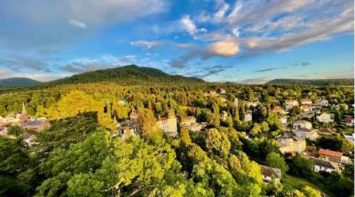 Helles Studio-Apartment in Badenweiler