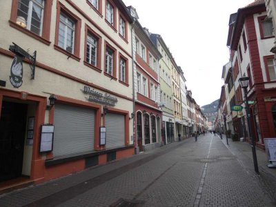 Renovierte 2,5 ZKB Wohnung im Herzen Heidelbergs