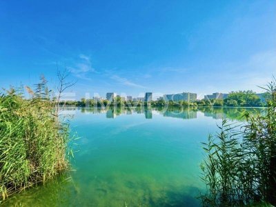 Sommer nahe Badeteich Hirschstetten - Haus mit Garten und Terrasse!