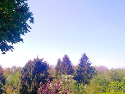 Dachgeschoss Traum mit Auwald Blick + Süd Balkon + Zwei Bäder + Tiefgarage + Eigennutzung o. Anlage