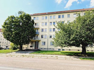 3-Zimmer-Erdgeschosswohnung im Lutherviertel.