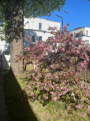 Von Privat zu Vermieten: TOP drei Zimmer + Wohnküche und Privatgarten