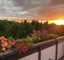 Geräumige 3 Zi. Wohnung mit Balkon
