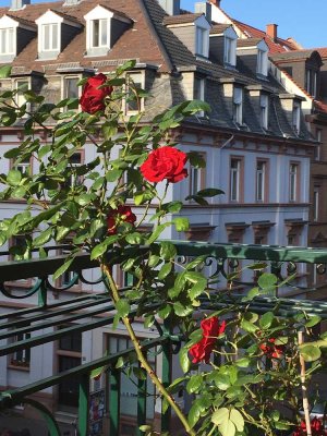 Seltene Gelegenheit: Schöne, top-renovierte 5ZKB Altbauwohnung in Heidelberg / Weststadt ohne Makler