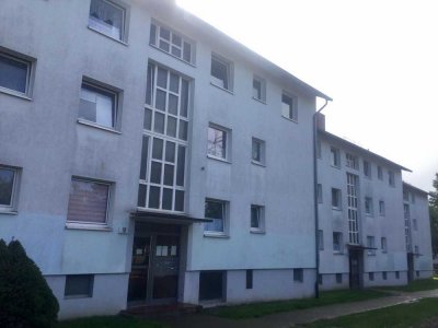 Frisch saniert im Erdgeschoss, inkl. Bad und Bodenbelag - Ihre neue Wohnung?