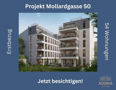 ++MOLLARD 50++ außergewöhnliche 2-Zimmer-Wohnung mitten im Herzen der Stadt (2/2)