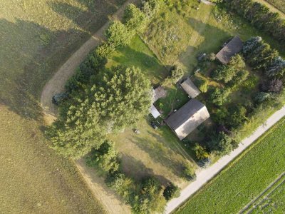 Bauernhaus, Reet, Ostsee, absolute Alleinlage, 63.700 m², Obstgarten, alter Baumbestand