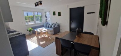 Neuwertige moderne Wohnung mit Terrasse