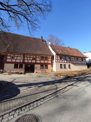 Historischer Hof in Dunningen