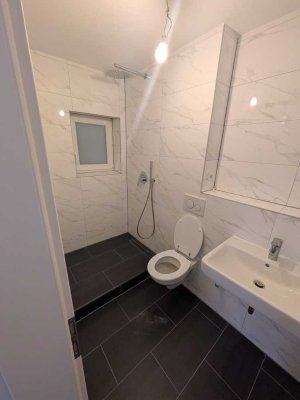 Frisch renovierte  3 Zimmer-Wohnung
