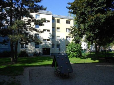 3 Zimmer in Hattersheim