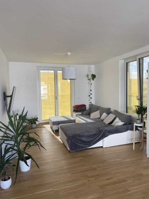 Dachterrasse 4-Zimmer-Wohnung mit gehobener Innenausstattung mit Einbauküche in Dresden