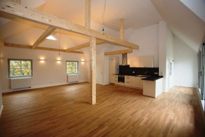Wunderschöne Dachterrassenwohnung - ruhig und zentral in Ludwigshafen-Friesenheim