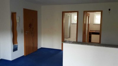 Vollständig renovierte 1-Zimmer-Terrassenwohnung mit EBK in Marktrodach