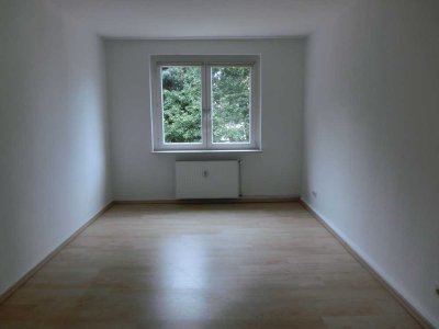 Modernisierte Wohnung mit Wohnküche in ruhiger Lage!