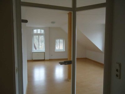 Schöner Wohnen; Helle geräumige 1-Zi.Wohnung