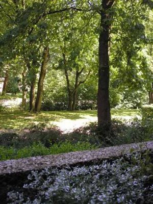 97019/145 Modernisierte 1-Zi.-Wohnung in Erkrath!