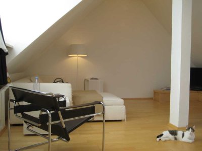 Charmante 2-Zimmer DG-Whg in Nürnberg St. Johannis.