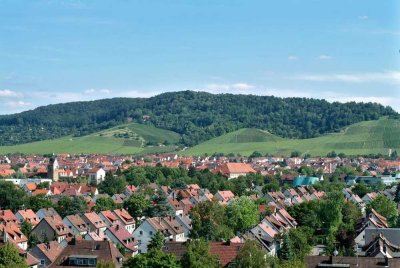 Kleines Wohnparadies - modernes Studio zum Durchstarten