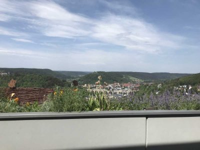 Helle 4,5-Zimmer-Terrassenwohnung in bester Aussichtslage