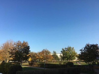 provisionsfrei: Gut vermietet am Park