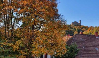 Moderne, außergewöhnliche Penthouse-Wohnung mit spektakulärem Blick auf die Burgen Weinheims