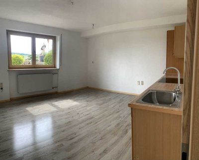 Erstbezug nach Sanierung mit EBK: Schöne 1-Raum-Wohnung in Polsingen