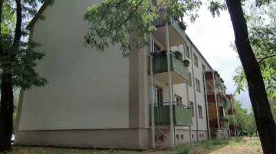 renovierte 3-Raum-Wohnung sucht Nachmieter