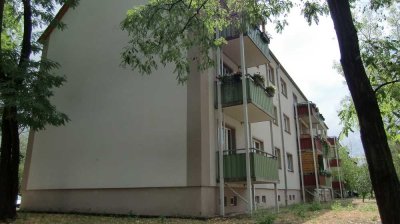 Renovierte 3-Raum-Wohnung