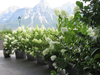 Terrassenwohnung Südlage mit Bergsicht