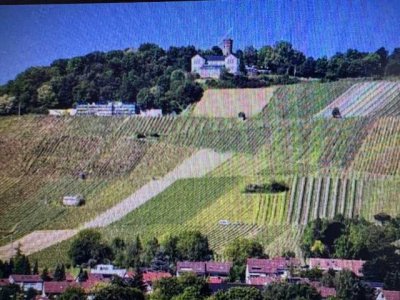 4-Familienhaus mit Ausbaupotenzial-angrenzendem Einfamilienhaus mit separatem Bürokomplex