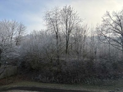 Ulm-Wiblingen: 3-Zimmer mit Balkon