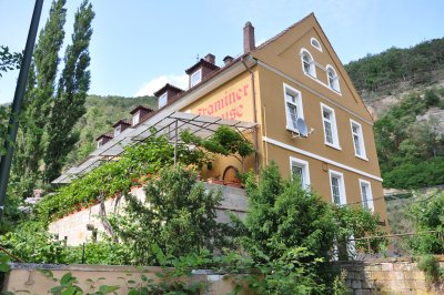 5-Zimmer-Wohnung in Bad Dürkheim