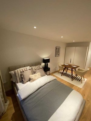 Möblierte 1-Zimmer-Wohnung in Maxvorstadt mit EBK