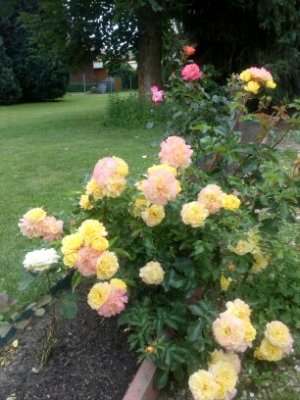 Unverqualmt-Landhaus-Garten