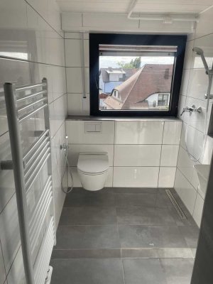 Zu Vermieten: Kernsanierte 3-Zimmer-Wohnung in Hirschberg 69493