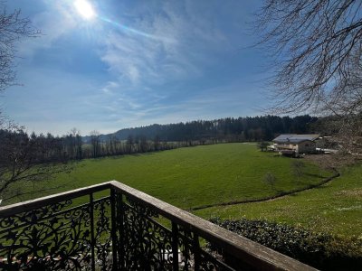 Wunderschöne 3 Zi-Wohnung mit 2 Balkonen und Traumblick