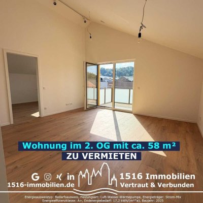 +++ Stilvolle Wohnung zum Erstbezug im Herzen der Altstadt inkl. Einbauküche und Balkon