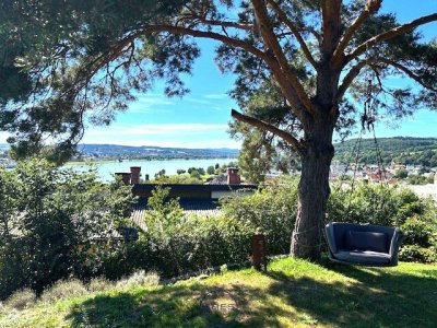 Donauwellenvilla mit Traumausblick im Herzen des Nibelungengaus!