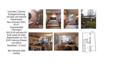 Helle Einliegerwohnung mit EBK und kleinem Gartenanteil
