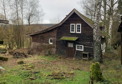 2 kleine Häuser auf sehr großem Waldgrundstück in Naturlage