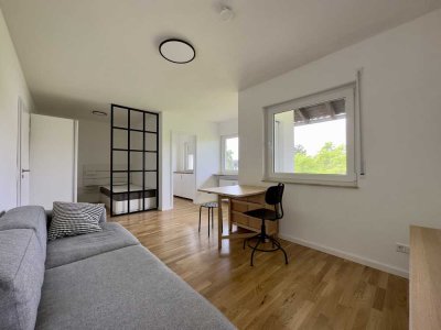Stilvoll möbliertes Apartment mit Balkon und Einbauküche in Dieburg
