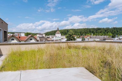 DACHGEFLÜSTER - 3-Zimmer-Wohnung mit Dachterrasse und herrlichem begrüntem Dachgarten - Fernsicht
