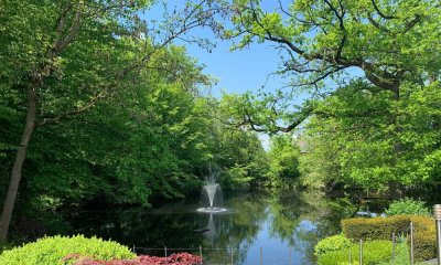 Traumhaftes Wohnen in DHH am privaten Teich (ca. 1.100 qm) in Münster-Albachten