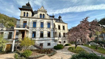 Stilvolle Eigentumswohnung in späthistorischem Gewand mit 3 Stellplätzen, Garage und Garten