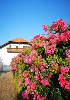 Traumhafte Landhaus-Villa mit großem Garten, Baugrund und Panoramablick, viel Diskretion und Potenzial, nah altem Ortskern im VIP-Thermen-Kurort.