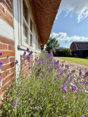 Romantik unter Reet – Traumhaus nahe der Elbe